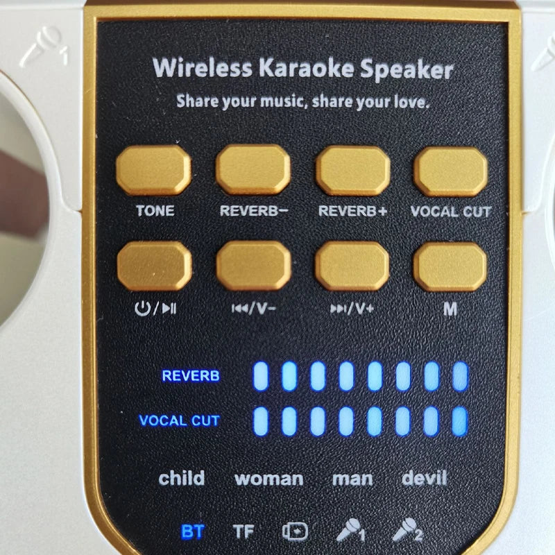 360 Stereo Surround Karaoke With Dual Microphone High Power Bluetooth Speaker Boombox Portable Waterproof Wireless Subwoofer