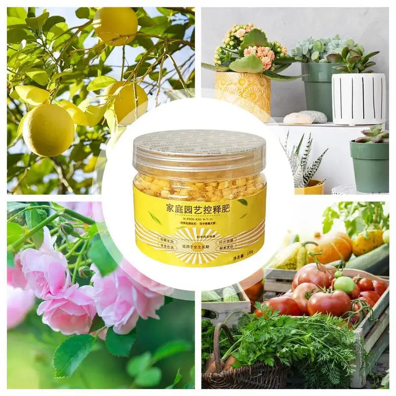 120days Special Controlled Slow Release Fertilizer For Succulent Plant Universa Nutrient Granular Fertilizer For Potted Plants ﻿