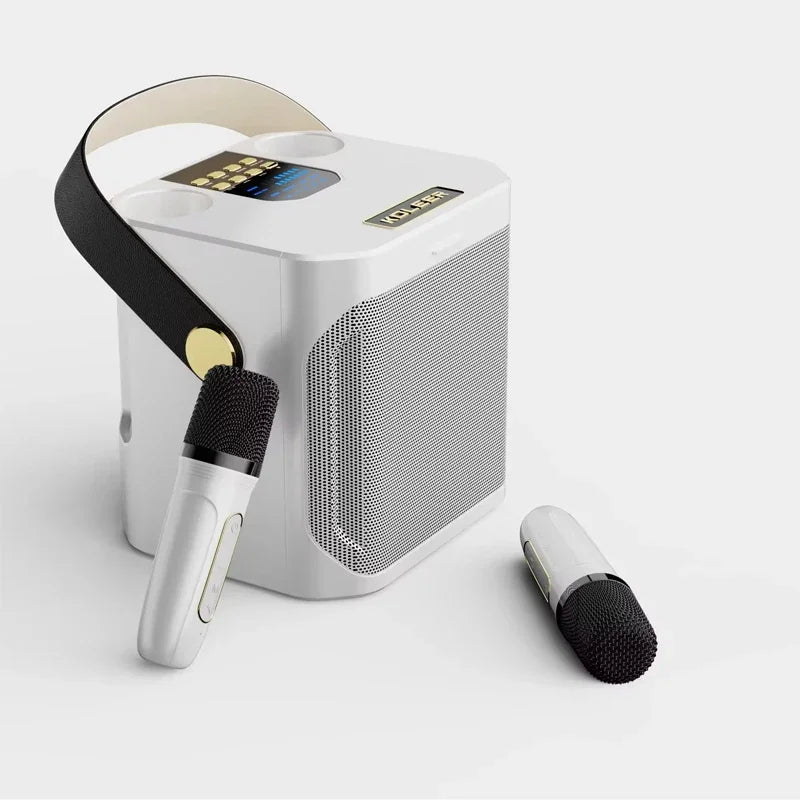 360 Stereo Surround Karaoke With Dual Microphone High Power Bluetooth Speaker Boombox Portable Waterproof Wireless Subwoofer