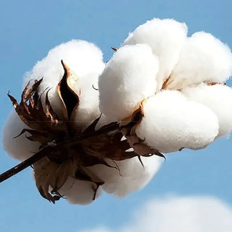 2025 SILBON Men's Fashion T-shirt Y2K Tops Harajuku Luxury Brand Lettering Print Short Sleeve Summer T-shirt Redtube