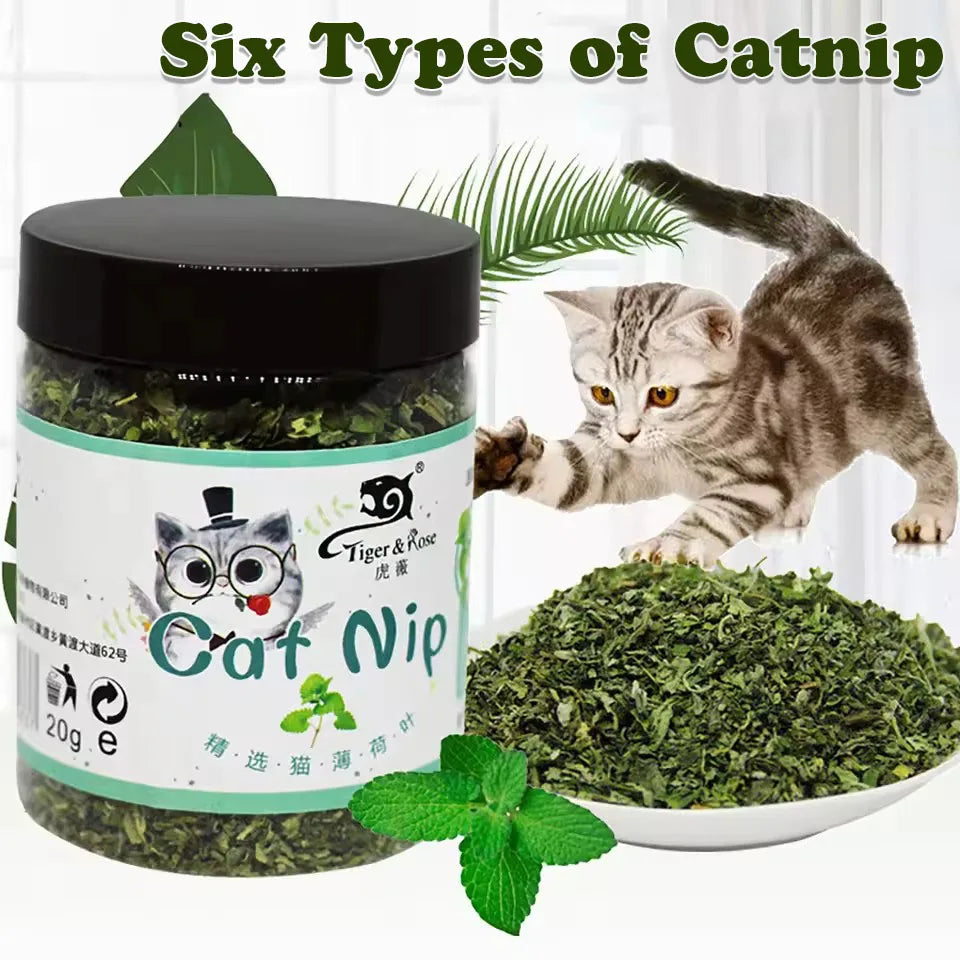 Organic 100% Natural High Quality Catnip Cattle Grass Mint Taste Funny Cat Toy New Cat Toy Interactive Cat Toys Pet Supplies
