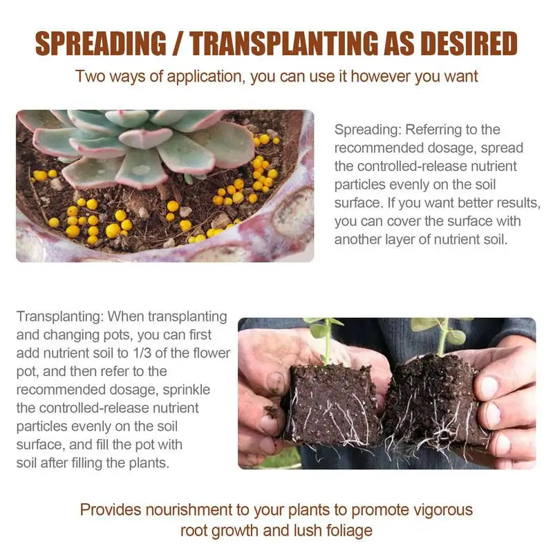 120days Special Controlled Slow Release Fertilizer For Succulent Plant Universa Nutrient Granular Fertilizer For Potted Plants ﻿