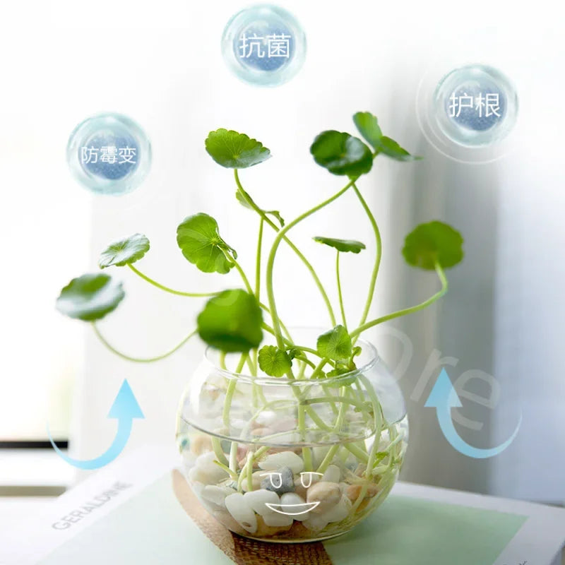 120ml Hydroponic Plant Nutrient Solution Without Dilution Rich Bamboo Green Dill Copper Money Grass Universal Nutrient Solution