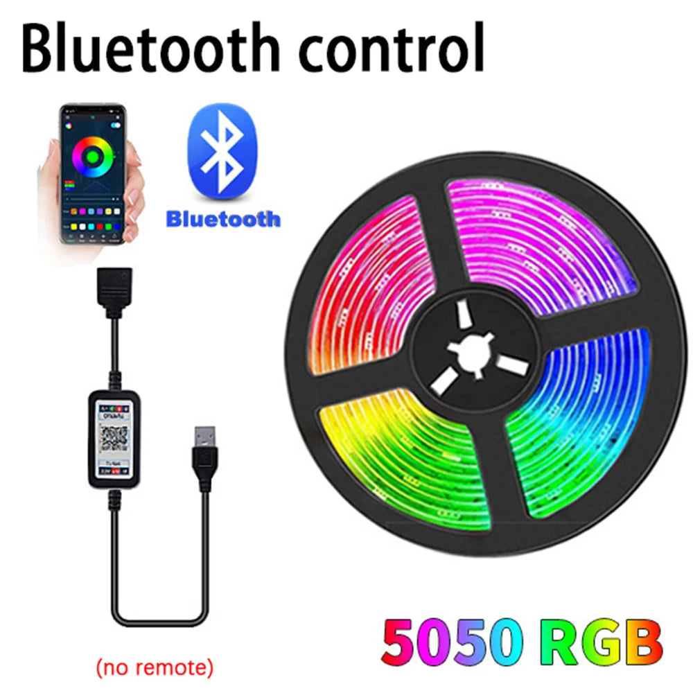 USB LED Strip Lights Bluetooth App Control LED Lights for TV RGB 5050 Flexible Ribbon Diode Tape TV Backlight Room Decoration