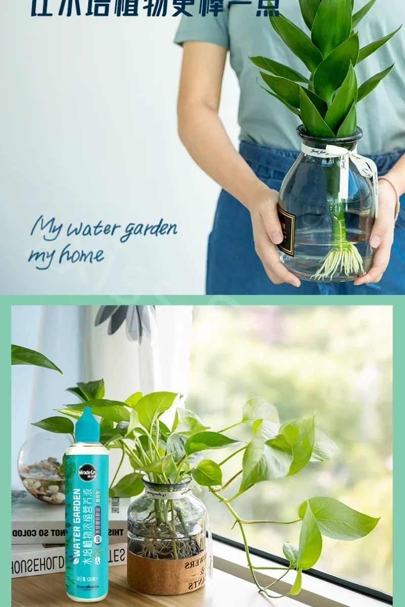 120ml Hydroponic Plant Nutrient Solution Without Dilution Rich Bamboo Green Dill Copper Money Grass Universal Nutrient Solution